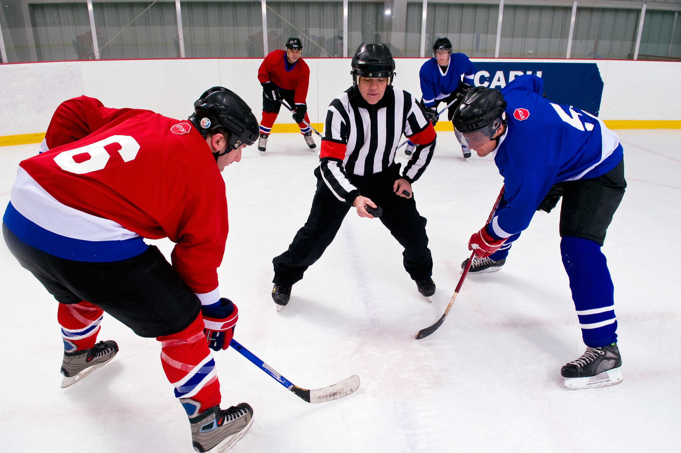 Hockey players at face-off